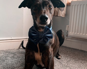 Corbata de TERCIOPELO para mascotas