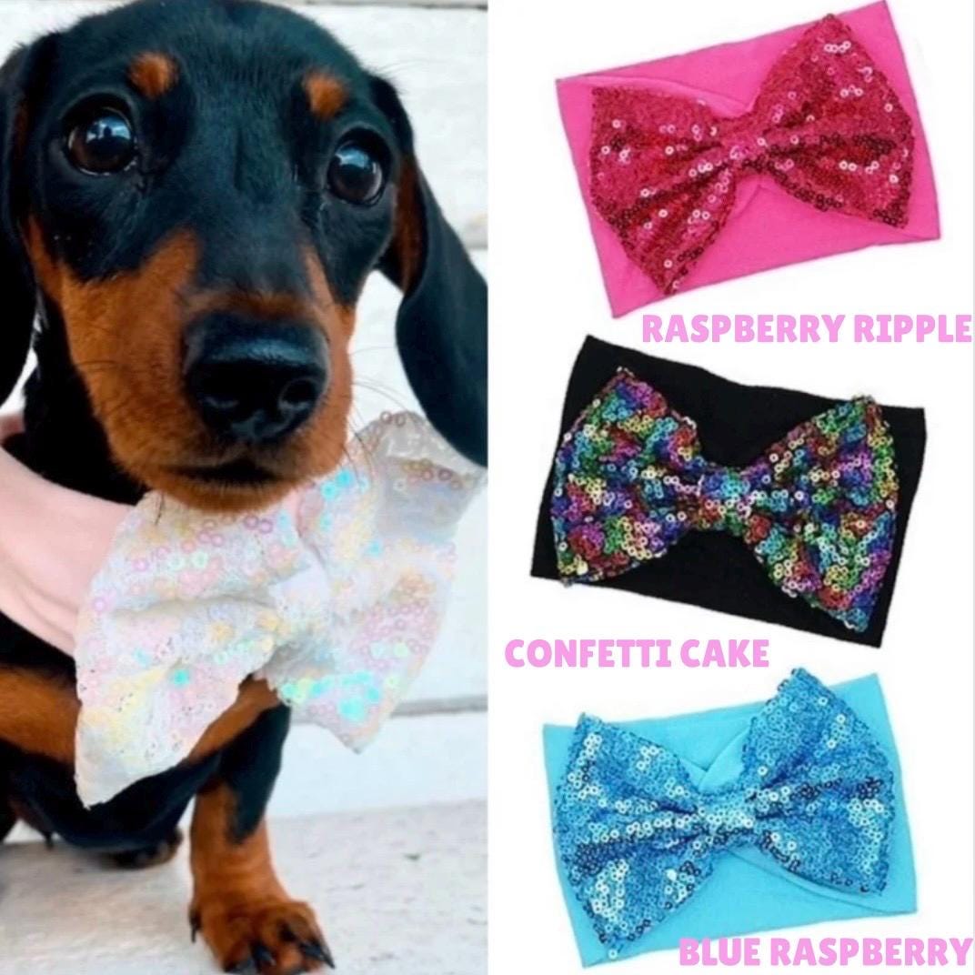 dog sequin bow tie