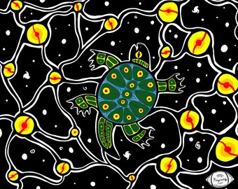 Schildkröten Planet