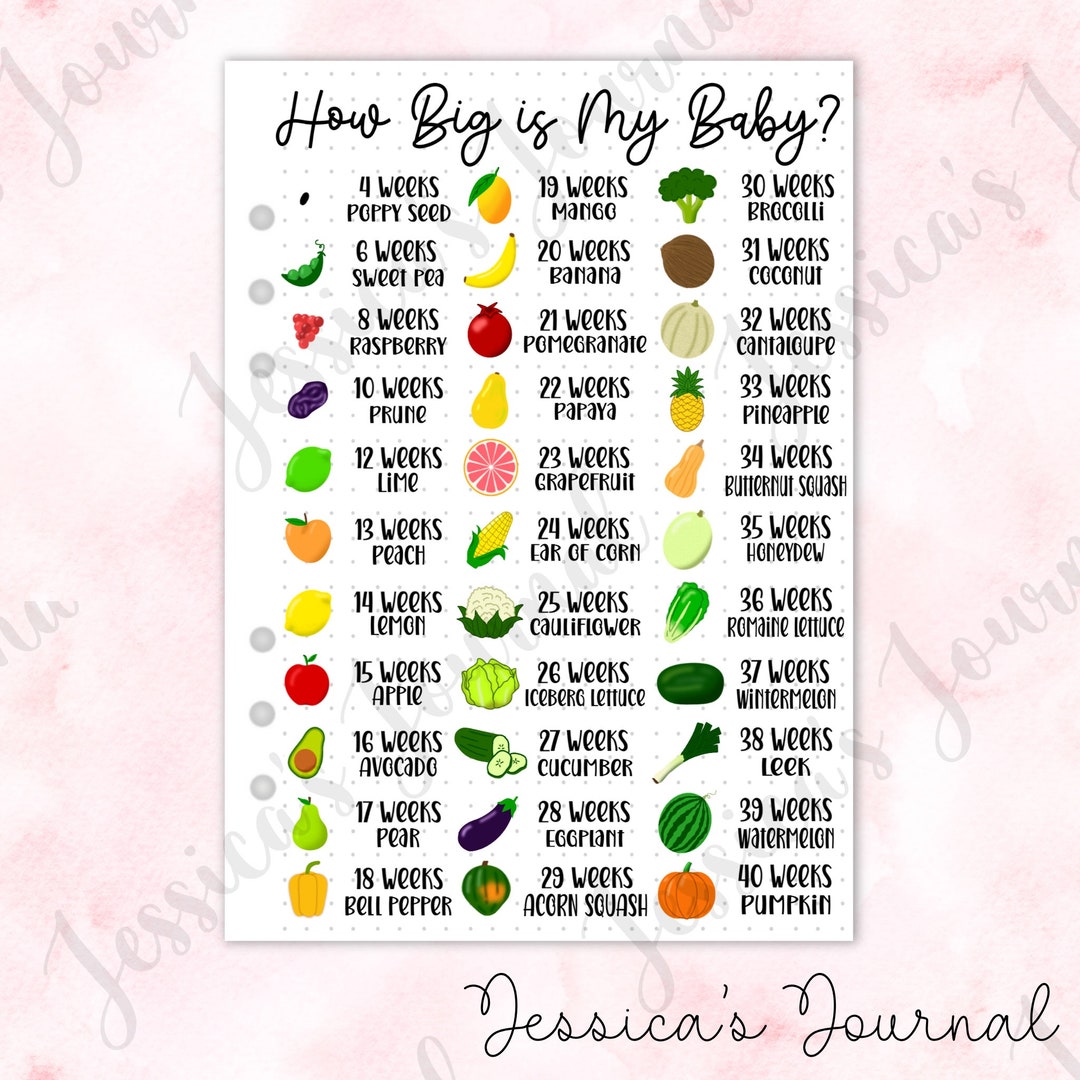 How Big is My Baby? | Pregnancy Spread | Jessica's Journal | New Mom ...
