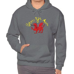Led Zeppelin Bron-Yr-Aur Wales Welsh Dragon Hoodie, Unisex Tröja med kraftig blandning, Pocket Pullover