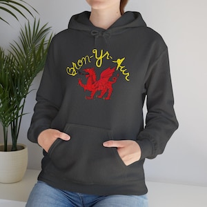 Led Zeppelin Bron-Yr-Aur Wales Welsh Dragon Hoodie, Unisex Heavy Blend Sweatshirt, Pocket Pullover Sweater
