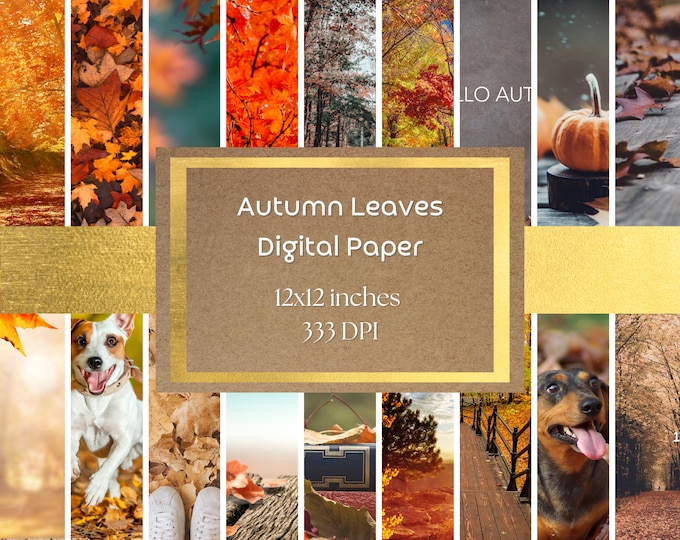 Autumn Leaves Digital Paper and Background - Fall Vibes, Leaves, Cute Dogs in Leaves Printable Digital Paper 333 DPI