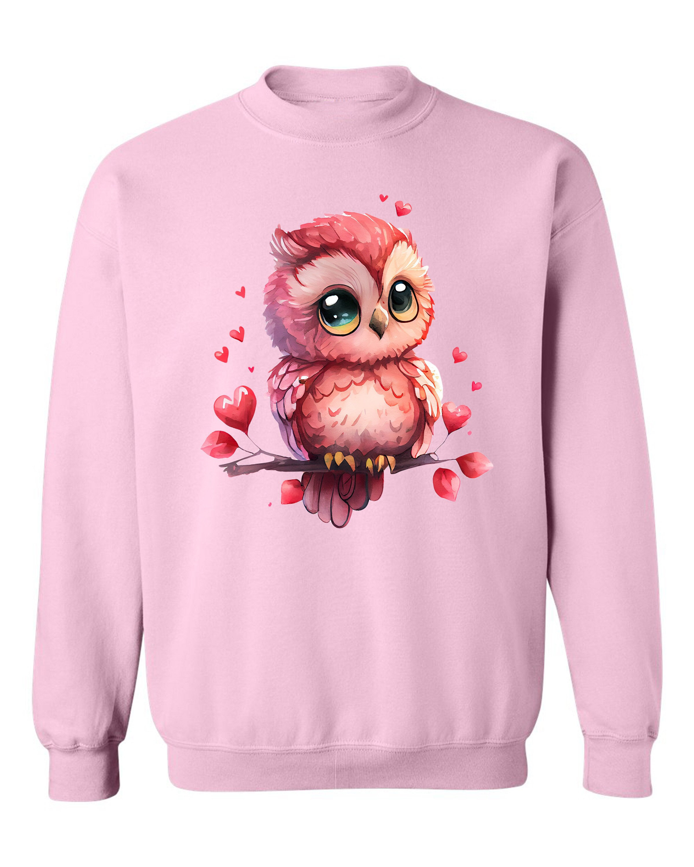 Owl Sweatshirt, Owl Lover Sweatshirt, Heart Sweatshirt, Cute Animal Sweatshirt, Valentine Day's 