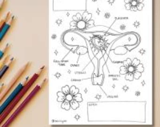 Pregnant Uterus Coloring Page for Doulas, Midwives, and L&D Nurses