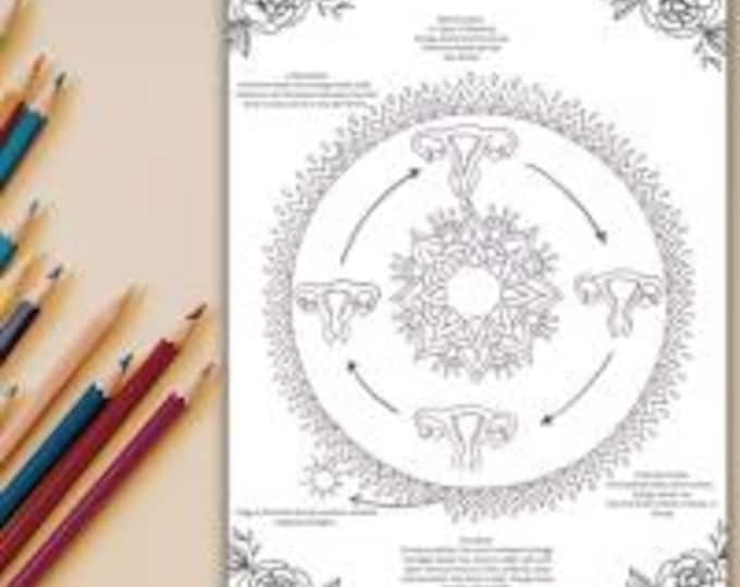 Menstrual Cycle Coloring Page for Doulas, Midwives, and L&D Nurses