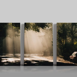 Sun Rays shinning through Foggy Forest Redwood Trees onto Rural Road in Northern California, Extra Large Canvas Panoramic Wall Art