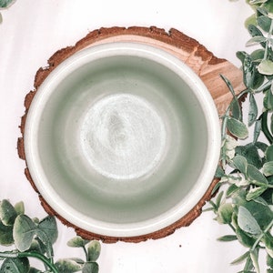 Pode incluir: Uma tigela de cer&acirc;mica verde clara com uma borda larga, colocada em uma fatia de madeira natural. A tigela &eacute; cercada por galhos de folhas verdes em um fundo branco, criando uma est&eacute;tica r&uacute;stica e natural.