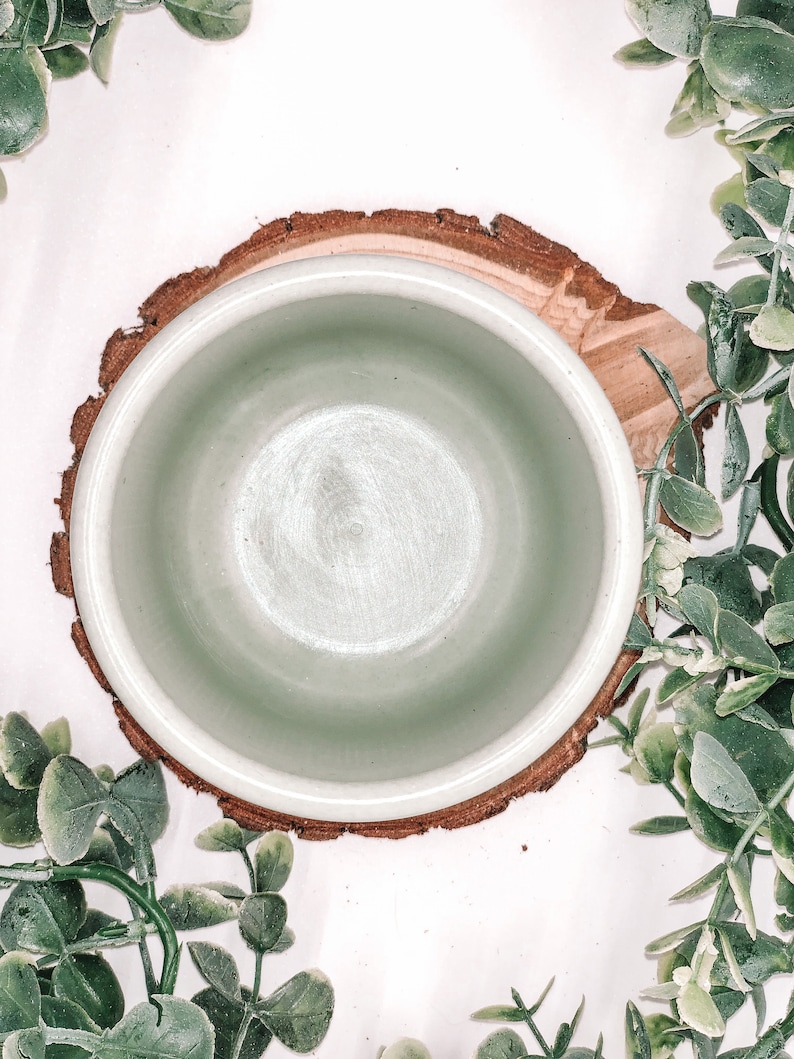 Pode incluir: Uma tigela de cer&acirc;mica verde clara com uma borda larga, colocada em uma fatia de madeira natural. A tigela &eacute; cercada por galhos de folhas verdes em um fundo branco, criando uma est&eacute;tica r&uacute;stica e natural.