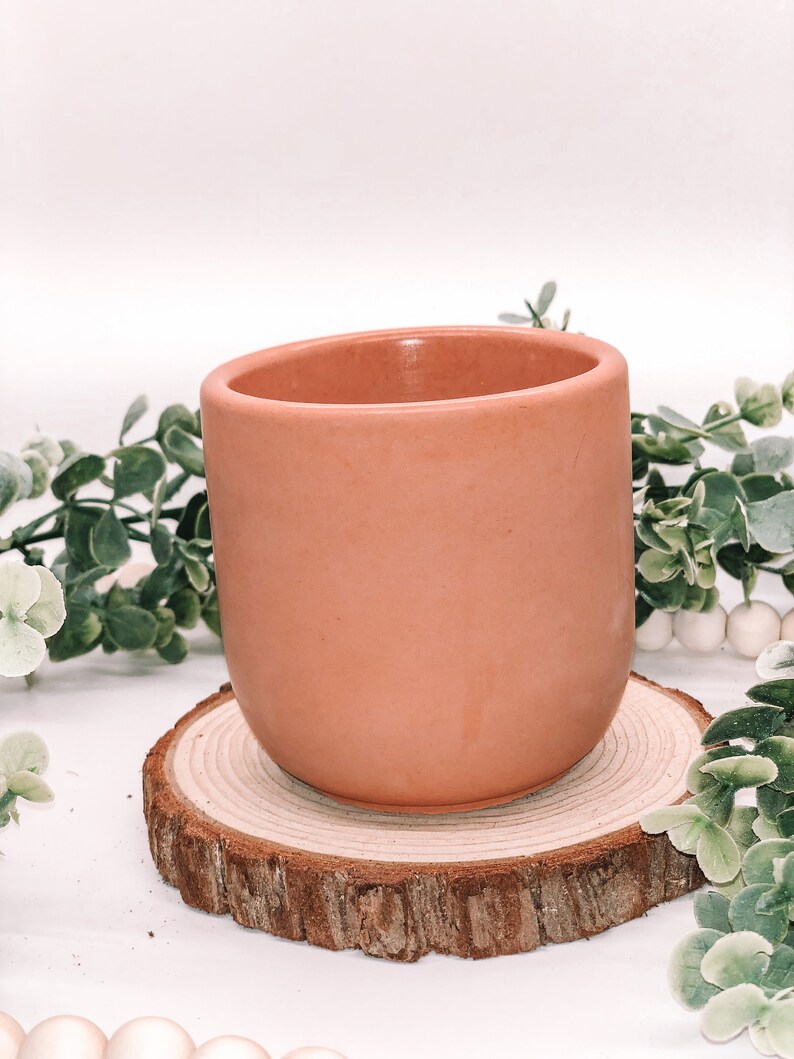 Pode incluir: Um vaso de cer&acirc;mica cor de terracota com formato arredondado. O vaso est&aacute; sobre um porta-copos de fatia de madeira natural. H&aacute; vegeta&ccedil;&atilde;o e contas brancas no fundo. O vaso &eacute; adequado para plantas pequenas.