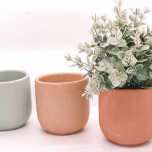 May include: Three ceramic planters in a row. The first is a light green, the second is peach, and the third is a terracotta color and holds a faux plant with green and white leaves. The planters are all the same shape, with rounded bottoms and a smooth finish.