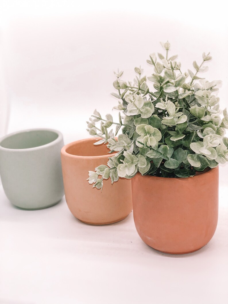 Pode incluir: Tr&ecirc;s pequenos vasos de cer&acirc;mica arredondados. O primeiro &eacute; verde-claro, o segundo &eacute; p&ecirc;ssego claro e o terceiro &eacute; p&ecirc;ssego mais escuro e cont&eacute;m uma planta artificial com folhas verdes e brancas. Os vasos est&atilde;o vazios ou cont&ecirc;m plantas.