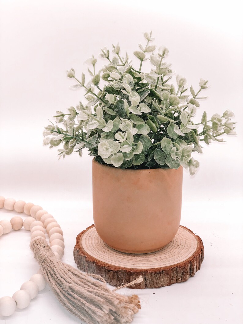 Pode incluir: Um pequeno vaso redondo de terracota cheio de vegeta&ccedil;&atilde;o de eucalipto artificial. O vaso est&aacute; sobre uma fatia de madeira natural, com um fio de contas de madeira e uma borla em primeiro plano. As folhas s&atilde;o verdes e brancas.