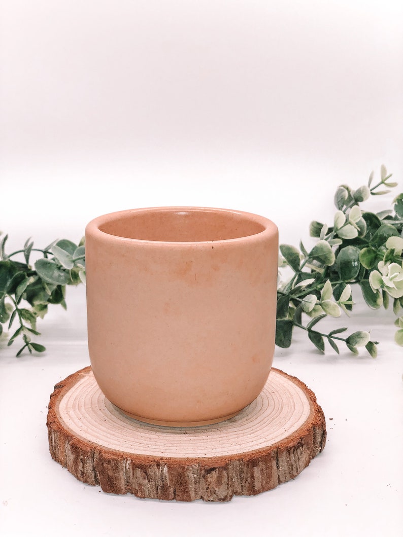 Pode incluir: Um vaso de cer&acirc;mica cor de p&ecirc;ssego com formato arredondado, colocado sobre um descanso de madeira natural. O vaso tem um acabamento liso e fosco. A vegeta&ccedil;&atilde;o &eacute; vis&iacute;vel ao fundo, adicionando um toque de natureza &agrave; cena.