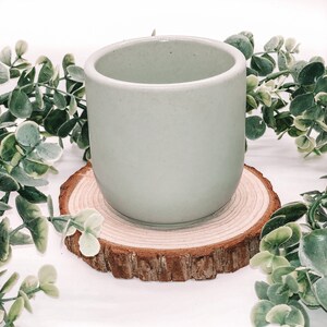 Pode incluir: Uma ch&aacute;vena de cer&acirc;mica verde claro com base arredondada assenta numa base de madeira natural. A ch&aacute;vena &eacute; rodeada por folhagem artificial verde e branca sobre um fundo branco. A ch&aacute;vena tem cerca de 7,6 cm de altura.