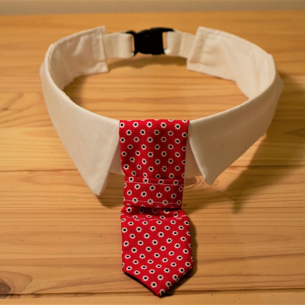 Pet Tie and Collar accessories