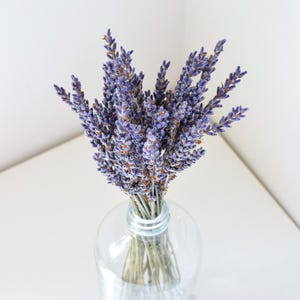 Dried Lavender Stems - Small: Decorative Floral Home & Wedding Decor