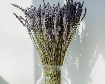 Real Dried Lavender Bundles - French - Gros Bleu