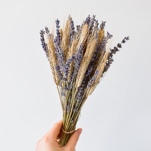 Lavendel Und Weizen Trockenblumenstrauß Getrocknete Blumenarrangement Vintage Bild 1