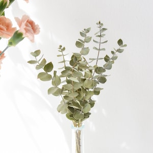 Mini Dried Eucalyptus Bouquet - Real Baby Blue Eucalyptus - Dried Flower Bouquet