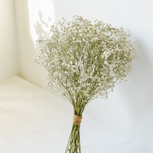 Baby's Breath Dried Wedding Bouquet - Boutonniere - Flower Crown
