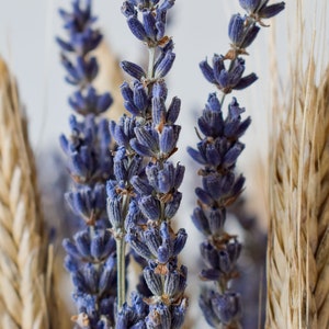 dried lavender and wheat flowers