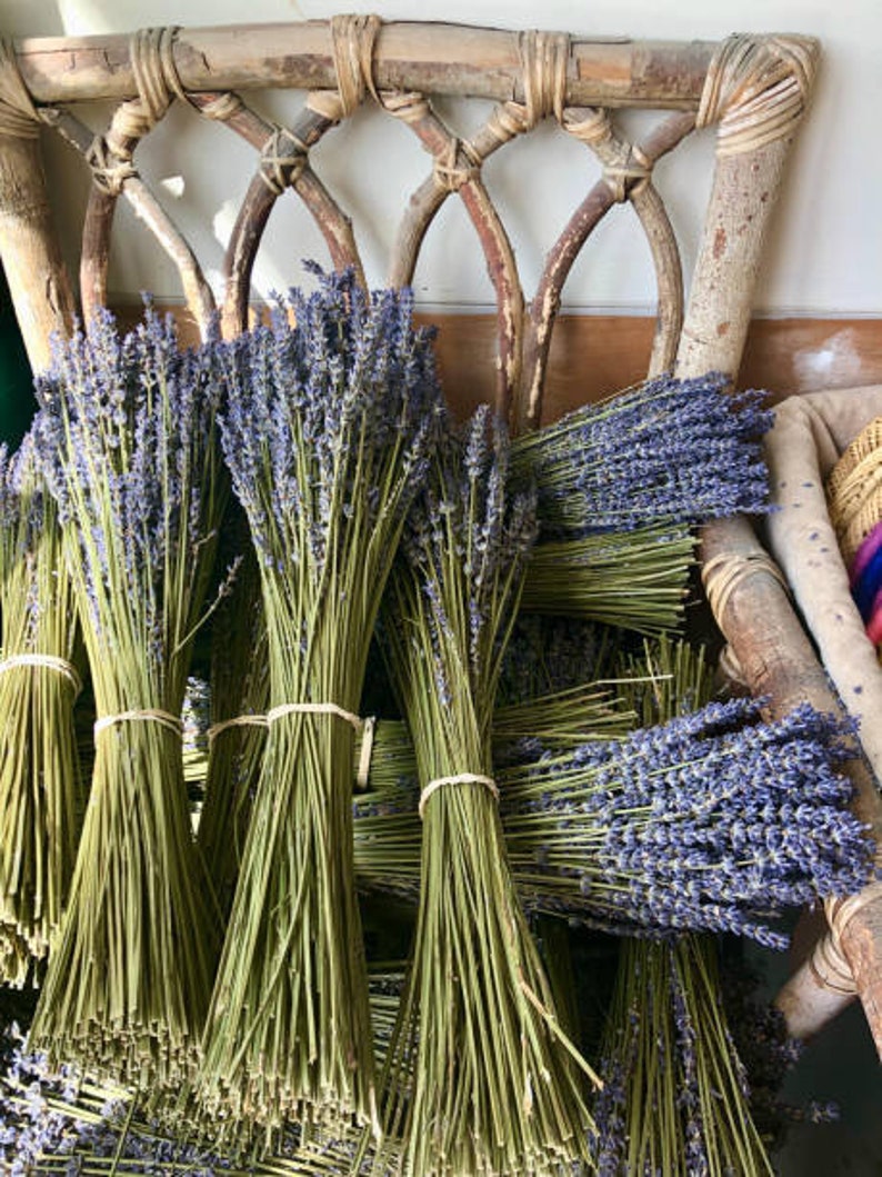 Bulk Dried Lavender Bunches Dried Lavender Bouquet Dried Etsy