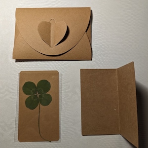 Authentic, real 4-leaf clover, 2024 collection (Symbol of luck, Gifts, Birthday, Holidays).