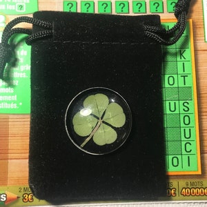 Trébol de cuatro hojas auténtico y real en una ficha para raspar (símbolo de suerte, regalos, cumpleaños, festividades)