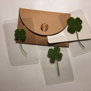Authentique, vrai Trèfle à 4 feuilles, collection 2025 ( Symbole de la chance, Cadeaux, Anniversaire, Fêtes )