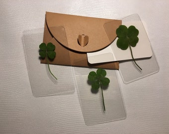 Authentic, real 4-leaf clover, 2024 collection (Symbol of luck, Gifts, Birthday, Holidays)