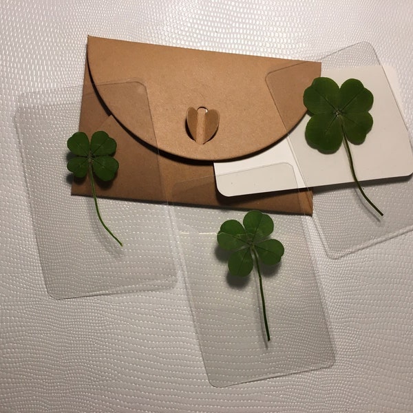 Authentic, real 4-leaf clover, 2024 collection (Symbol of luck, Gifts, Birthday, Holidays)