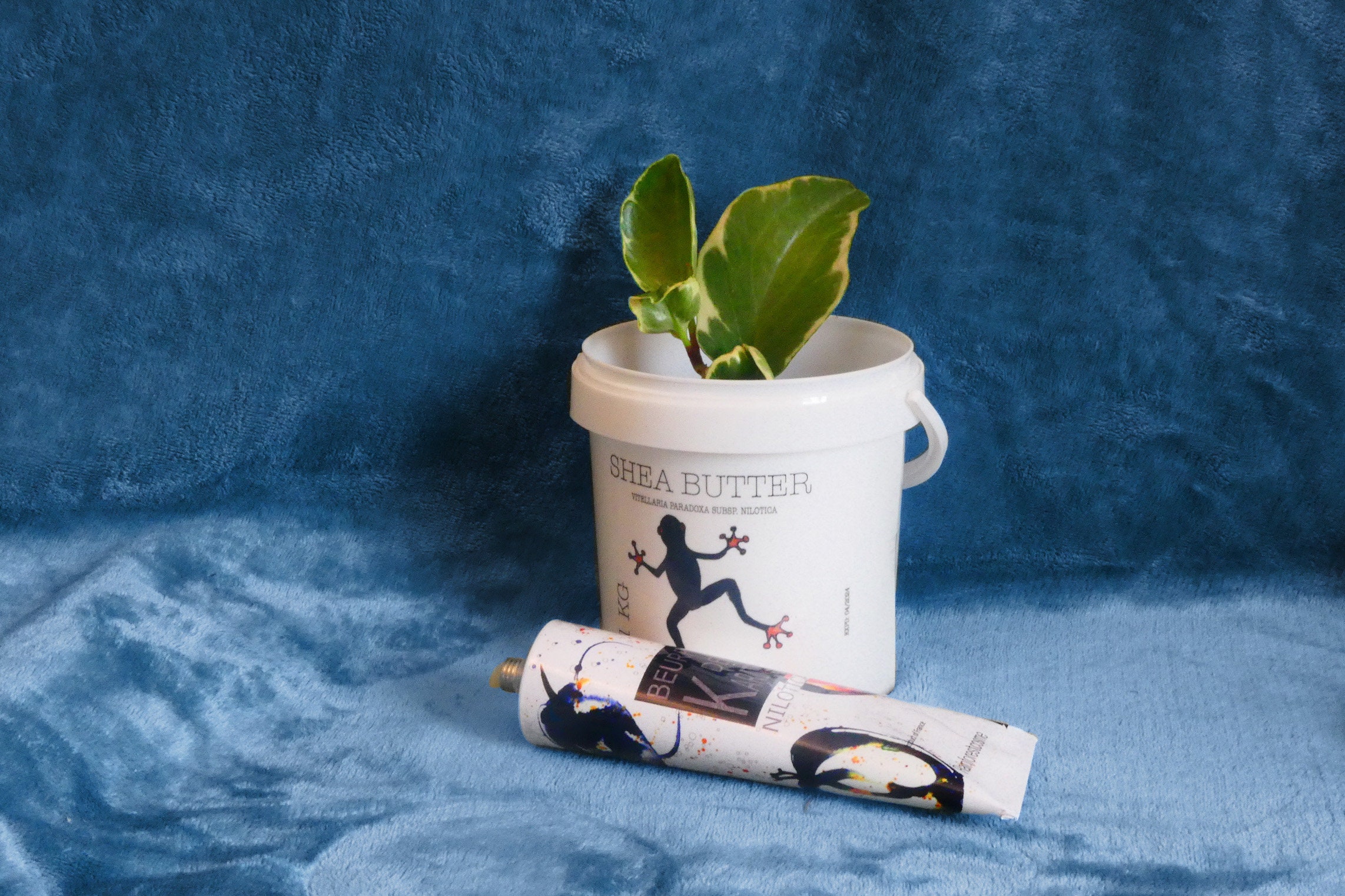 Beurre De Karité Nilotica 125 Ml Etsy