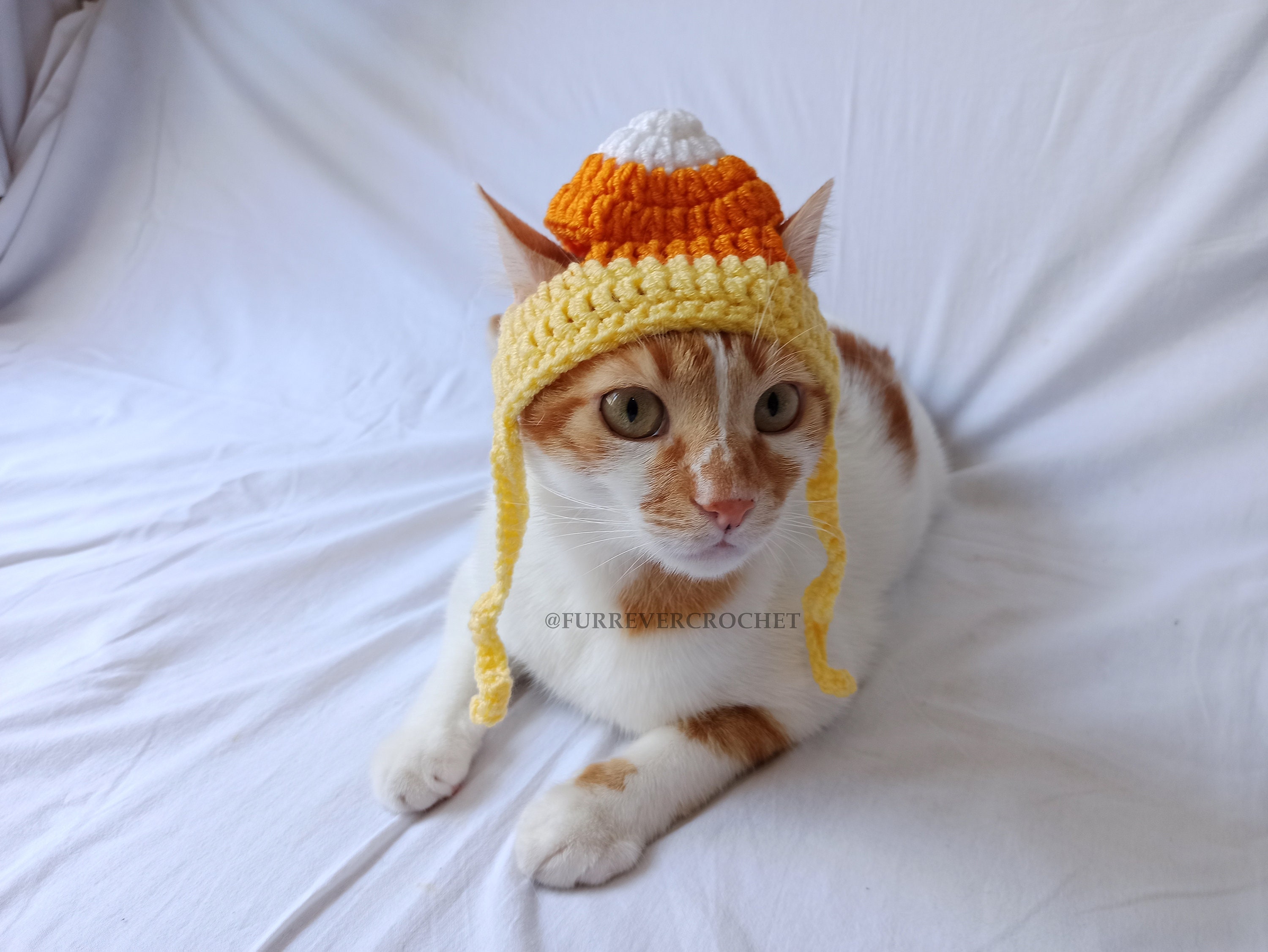 Cat Cute Cartoon Decorative Funny Cat Headwear Cat Dog Hat Headgear Pet  Cute Funny Artifact Warm Plush Pet Hat Pet Photo Props