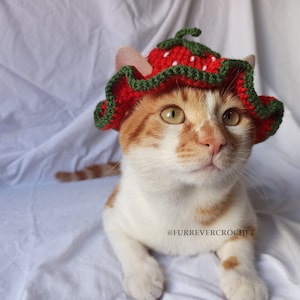 Red Strawberry Cat and Dog Crochet Bucket Hat, Cute and Fun Pet Accessories, Fruit Themed