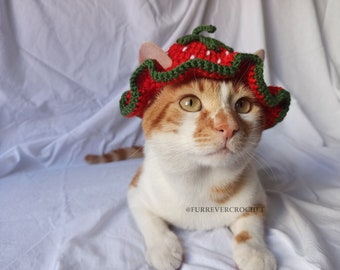 Red Strawberry Cat and Dog Crochet Bucket Hat, Cute and Fun Pet Accessories, Fruit Themed