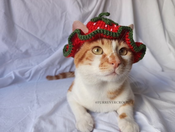 Red Strawberry Cat and Dog Crochet Bucket Hat, Cute and Fun Pet  Accessories, Fruit Themed -  Canada