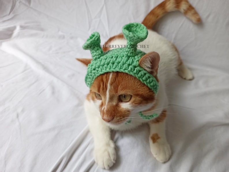 Shrek Inspired Bandana for Cats and Dogs Ogre Hat Green Ears Etsy