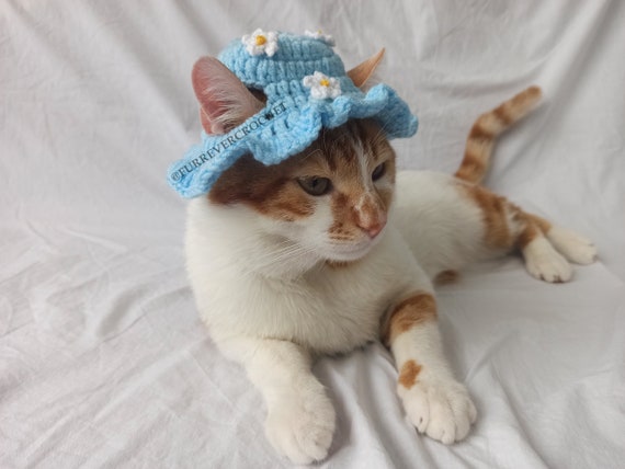 Cute Cat and Dog Bucket Hat With Daisy on It, White and 