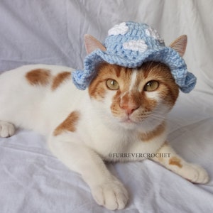 Cloud Bucket Hat For Cats and Small Dogs, Blue and White Crochet Hat, Funny Pet Accessories