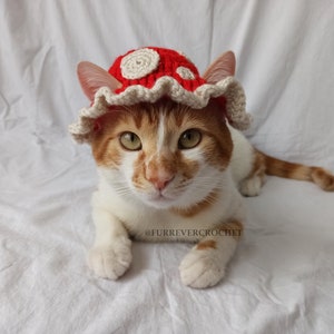 Mushroom Cat and Dog Crochet Bucket Hat, Red Color with Beige Dots On It, Pet Parents Gifts image 3