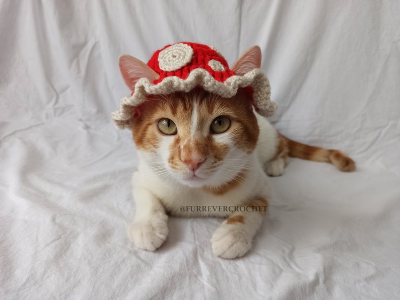 Mushroom Cat and Dog Crochet Bucket Hat, Red Color with Beige Dots On It, Pet Parents Gifts image 3