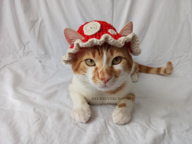 Mushroom Cat and Dog Crochet Bucket Hat, Red Color with Beige Dots On It, Pet Parents Gifts image 4