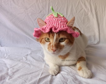 Pink Strawberry Cat and Dog Crochet Bucket Hat, Cute Pet Accessories, Fruit Themed, Gift for Cat Lovers