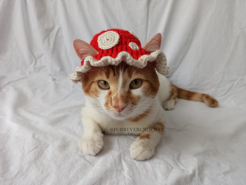 Mushroom Cat and Dog Crochet Bucket Hat, Red Color with Beige Dots On It, Pet Parents Gifts image 1