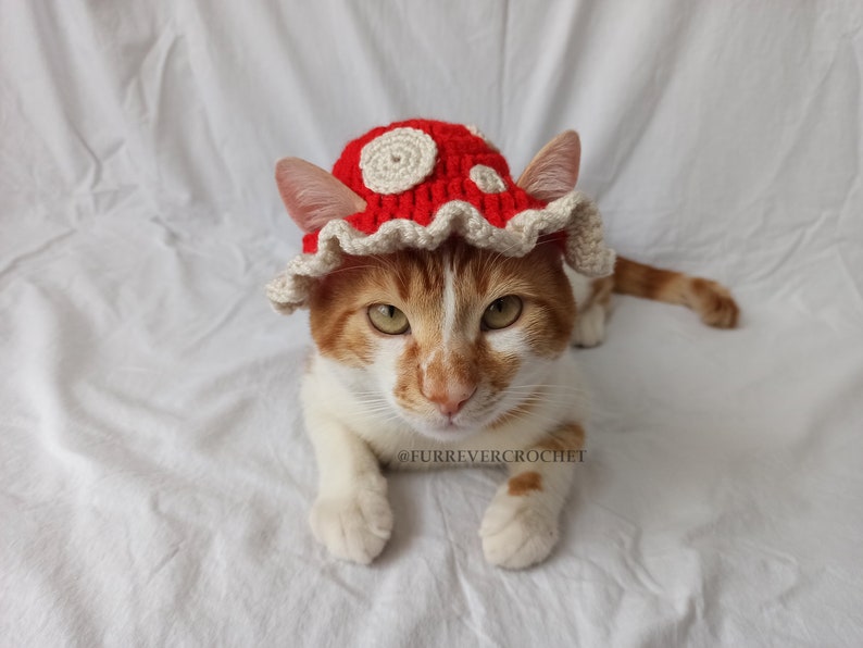 Mushroom Cat and Dog Crochet Bucket Hat, Red Color with Beige Dots On It, Pet Parents Gifts image 5