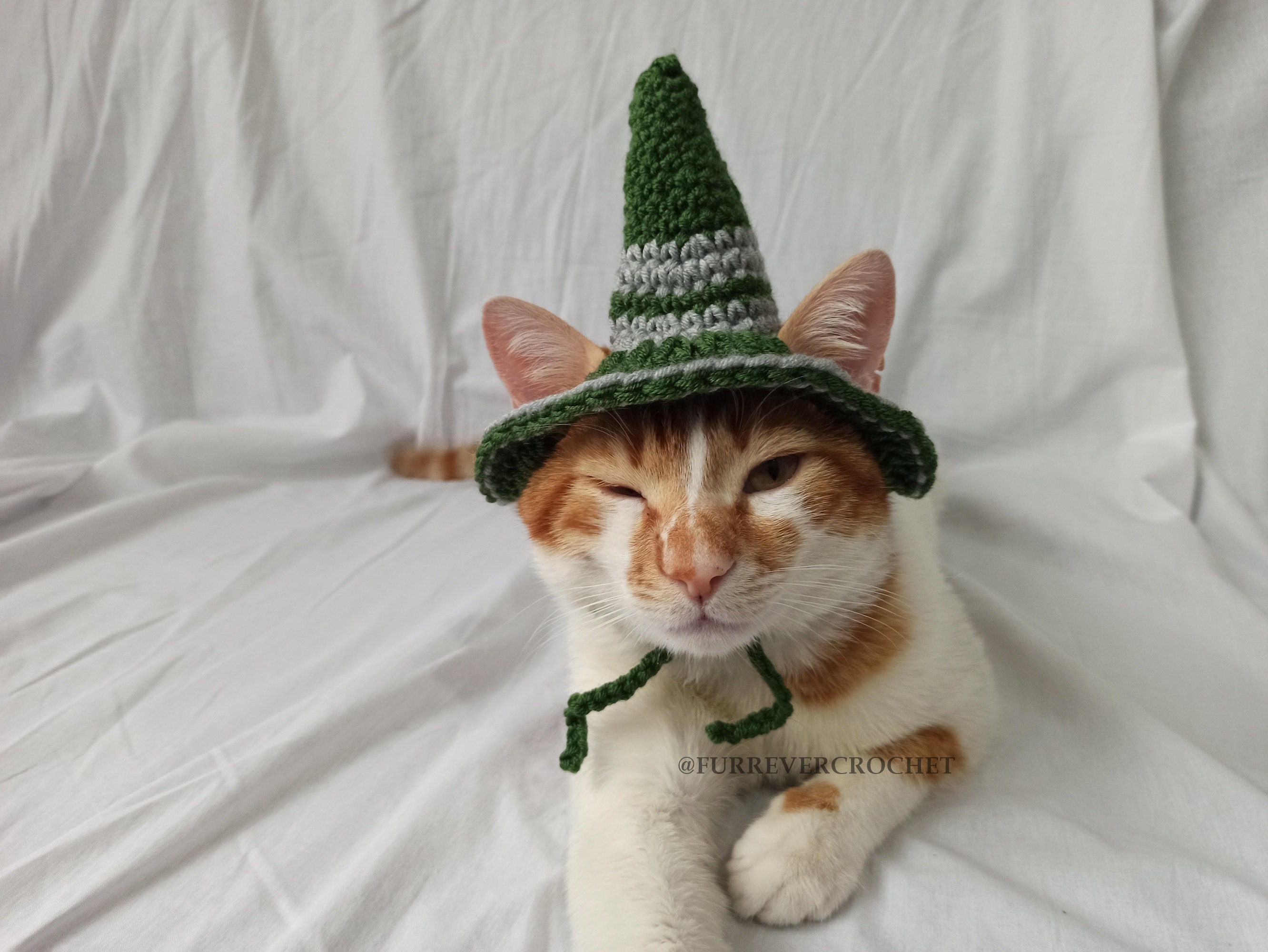 Harry Potter Inspired Crochet Witch Hat for Cats and Dogs Etsy