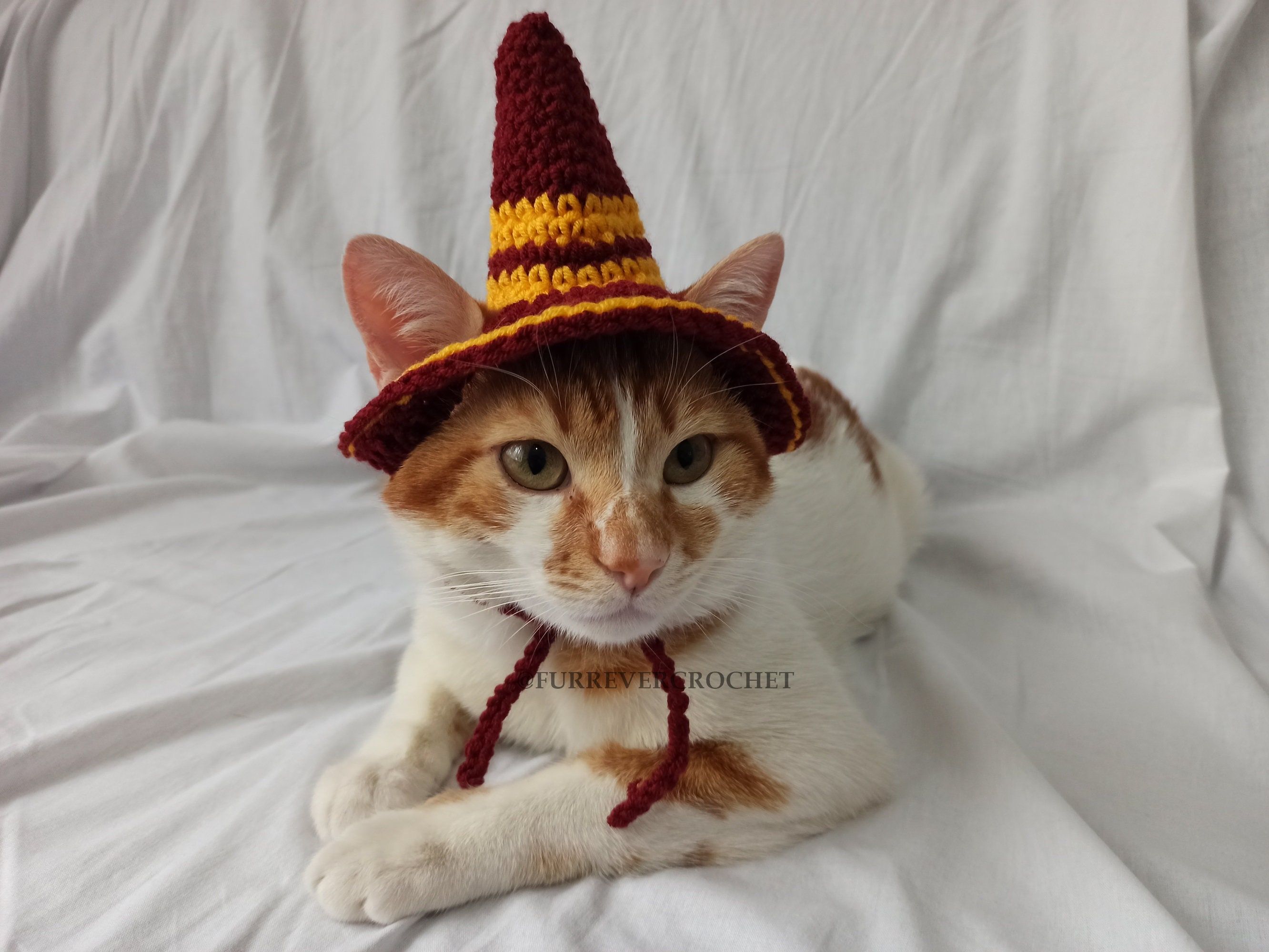 Harry Potter Inspired Crochet Witch Hat for Cats and Dogs Etsy