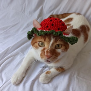 Watermelon Bucket Hat for Cats and Dogs, Crochet Pet Accessories with Ear Holes, Fruit Themed, Red and Green, Summer Photo Prop for Pets