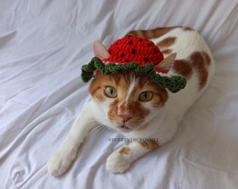 Watermelon Bucket Hat for Cats and Dogs, Crochet Pet Accessories with Ear Holes, Fruit Themed, Red and Green, Summer Photo Prop for Pets